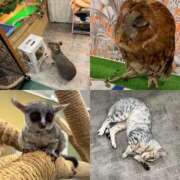 ヒメ日記 2025/08/23 23:09 投稿 ゆうな 名古屋回春性感マッサージ倶楽部