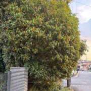 ヒメ日記 2025/11/03 20:59 投稿 ゆうな 名古屋回春性感マッサージ倶楽部