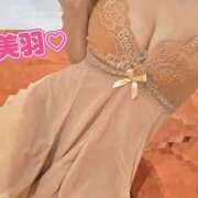 ヒメ日記 2025/11/26 10:36 投稿 美羽 角海老宮殿