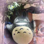 ヒメ日記 2026/02/13 23:47 投稿 美羽 角海老宮殿