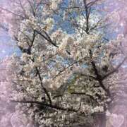 ヒメ日記 2026/03/28 06:14 投稿 美羽 角海老宮殿