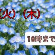 ヒメ日記 2024/04/29 22:58 投稿 ゆい いけない歯科衛生士　池袋店