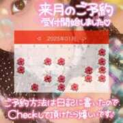 ヒメ日記 2024/12/26 15:24 投稿 ハイビ/hibi 英國屋（金津園）