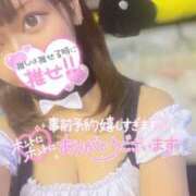 ヒメ日記 2024/12/31 20:47 投稿 ハイビ/hibi 英國屋（金津園）