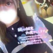 ヒメ日記 2025/02/15 08:19 投稿 ハイビ/hibi 英國屋（金津園）