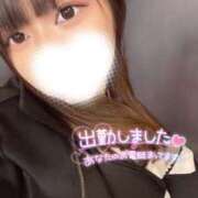 ヒメ日記 2025/02/26 08:14 投稿 ハイビ/hibi 英國屋（金津園）