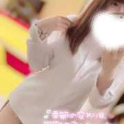 ヒメ日記 2025/03/02 16:34 投稿 ハイビ/hibi 英國屋（金津園）