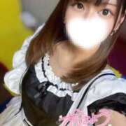 ヒメ日記 2025/03/04 08:54 投稿 ハイビ/hibi 英國屋（金津園）