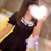 ヒメ日記 2025/03/05 10:04 投稿 ハイビ/hibi 英國屋（金津園）