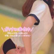 ヒメ日記 2025/03/13 10:24 投稿 ハイビ/hibi 英國屋（金津園）