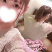 ヒメ日記 2025/03/15 07:44 投稿 ハイビ/hibi 英國屋（金津園）