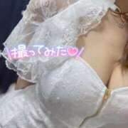 ヒメ日記 2025/03/17 10:54 投稿 ハイビ/hibi 英國屋（金津園）