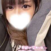 ヒメ日記 2025/03/18 18:24 投稿 ハイビ/hibi 英國屋（金津園）