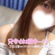 ヒメ日記 2025/03/20 11:04 投稿 ハイビ/hibi 英國屋（金津園）