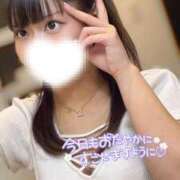 ヒメ日記 2025/03/20 17:54 投稿 ハイビ/hibi 英國屋（金津園）