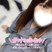 ヒメ日記 2025/03/21 13:04 投稿 ハイビ/hibi 英國屋（金津園）