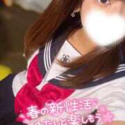 ヒメ日記 2025/03/31 12:54 投稿 ハイビ/hibi 英國屋（金津園）