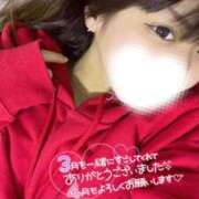 ヒメ日記 2025/03/31 16:54 投稿 ハイビ/hibi 英國屋（金津園）