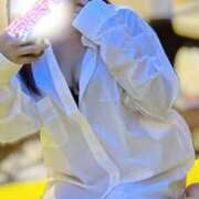 ヒメ日記 2025/04/02 12:04 投稿 ハイビ/hibi 英國屋（金津園）