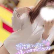 ヒメ日記 2025/04/05 07:44 投稿 ハイビ/hibi 英國屋（金津園）