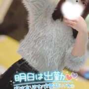 ヒメ日記 2025/04/07 08:34 投稿 ハイビ/hibi 英國屋（金津園）