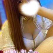 ヒメ日記 2025/04/09 08:04 投稿 ハイビ/hibi 英國屋（金津園）