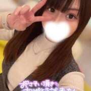 ヒメ日記 2025/04/10 16:54 投稿 ハイビ/hibi 英國屋（金津園）