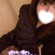 ヒメ日記 2025/04/14 08:34 投稿 ハイビ/hibi 英國屋（金津園）