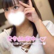 ヒメ日記 2025/04/14 20:24 投稿 ハイビ/hibi 英國屋（金津園）