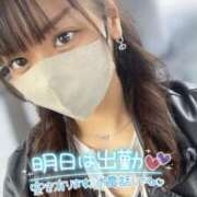 ヒメ日記 2025/04/17 07:44 投稿 ハイビ/hibi 英國屋（金津園）