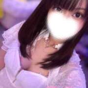 ヒメ日記 2025/04/19 08:14 投稿 ハイビ/hibi 英國屋（金津園）