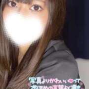 ヒメ日記 2025/04/21 08:34 投稿 ハイビ/hibi 英國屋（金津園）