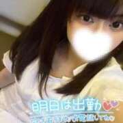 ヒメ日記 2025/04/21 16:44 投稿 ハイビ/hibi 英國屋（金津園）