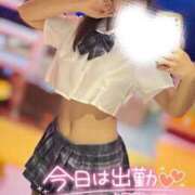 ヒメ日記 2025/04/22 08:24 投稿 ハイビ/hibi 英國屋（金津園）