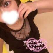 ヒメ日記 2025/04/23 08:04 投稿 ハイビ/hibi 英國屋（金津園）