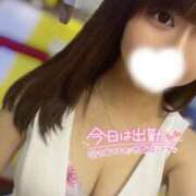 ヒメ日記 2025/04/25 08:04 投稿 ハイビ/hibi 英國屋（金津園）