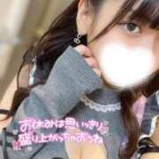 ヒメ日記 2025/04/26 08:04 投稿 ハイビ/hibi 英國屋（金津園）