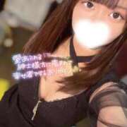 ヒメ日記 2025/05/07 08:14 投稿 ハイビ/hibi 英國屋（金津園）