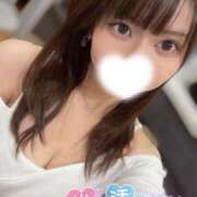 ヒメ日記 2025/05/14 14:04 投稿 ハイビ/hibi 英國屋（金津園）