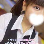 ヒメ日記 2025/05/16 08:14 投稿 ハイビ/hibi 英國屋（金津園）