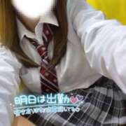 ヒメ日記 2025/05/29 14:14 投稿 ハイビ/hibi 英國屋（金津園）