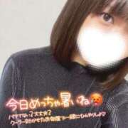 ヒメ日記 2025/06/28 07:34 投稿 ハイビ/hibi 英國屋（金津園）