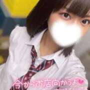 ヒメ日記 2025/06/29 08:31 投稿 ハイビ/hibi 英國屋（金津園）