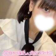 ヒメ日記 2025/07/01 07:54 投稿 ハイビ/hibi 英國屋（金津園）