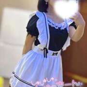 ヒメ日記 2025/07/02 08:14 投稿 ハイビ/hibi 英國屋（金津園）