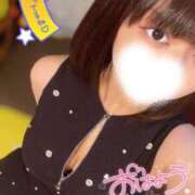 ヒメ日記 2025/07/07 07:44 投稿 ハイビ/hibi 英國屋（金津園）