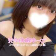 ヒメ日記 2025/07/09 18:34 投稿 ハイビ/hibi 英國屋（金津園）