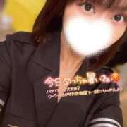 ヒメ日記 2025/07/23 09:54 投稿 ハイビ/hibi 英國屋（金津園）