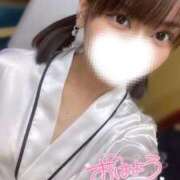 ヒメ日記 2025/07/29 07:54 投稿 ハイビ/hibi 英國屋（金津園）