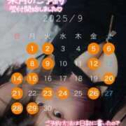 ヒメ日記 2025/08/19 19:34 投稿 ハイビ/hibi 英國屋（金津園）